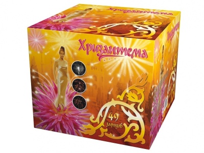 Хризантема Салют купить в Краснодаре | krasnodar.salutsklad.ru