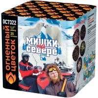 Мишки на севере Салют купить #REGION_NAME_DECLINE_PP# | #REGION_TAG_VSTAVKA_TAYT#